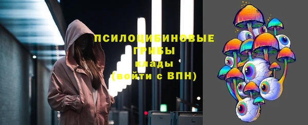 синтетический гашиш Богородицк