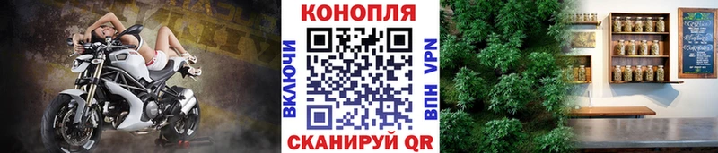 Конопля семена Плёс
